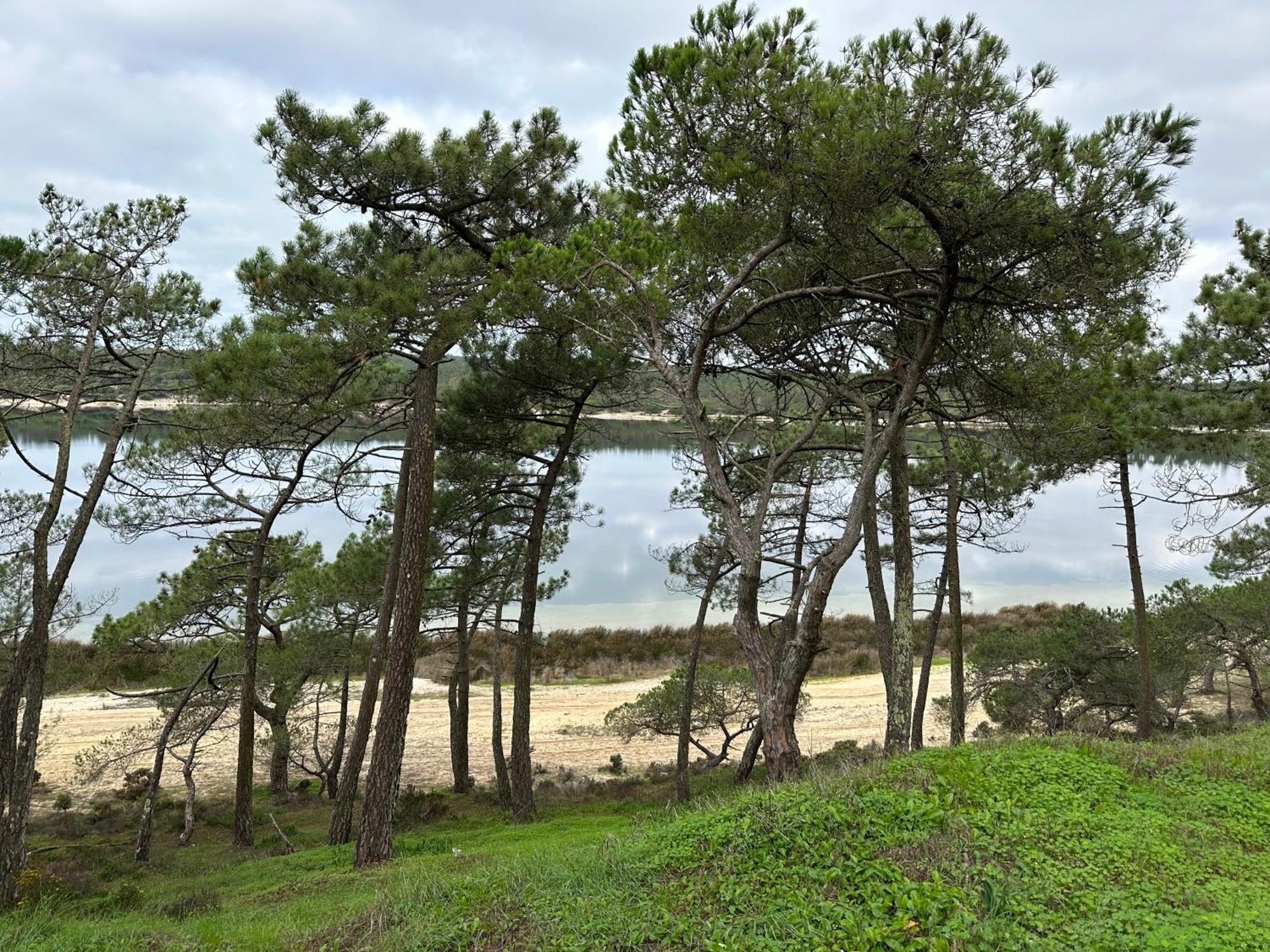 Eco-Friendly Beach House Сесимбра Экстерьер фото